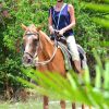 Punta Cana: Bávaro Adventure Park Horse Riding & Waterfalls - Image 8