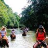 From Puerto Plata: Horseback ride along the mountain river - Image 8