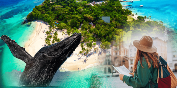 Samana: City Tour + Whale Watching + Cayo Levantado