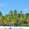 Punta Cana: Saona Island Day Trip - Image 9