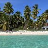 From La Romana: Saona Island for Costa Cruises Passengers - Image 9