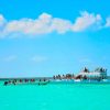 Saona Island Full Day For Small Group Catamaran VIP - Image 9