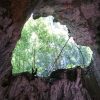 Los Haitises National Park: Boat and Walking Tour with Lunch - Image 9