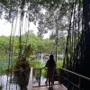 Fantastic Adventure to Hidden Waterfall and Historical Cave - Image 9