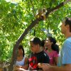 Puerto Plata: Monkeyland and Zip-Line Adventure - Image 9