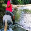 From Puerto Plata: Horseback ride along the mountain river - Image 9