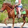 Punta Cana: Bávaro Adventure Park Horse Riding & Waterfalls - Image 10