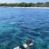 From Punta Cana: Small Group Catalina Island Snorkeling Tour - Image 10