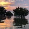 Boca Chica : Los Haitises Guided Hike and Kayaking - Image 14